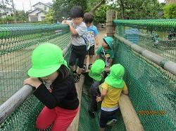 あおば台幼稚園ブログ 17 学校法人 塚原学園